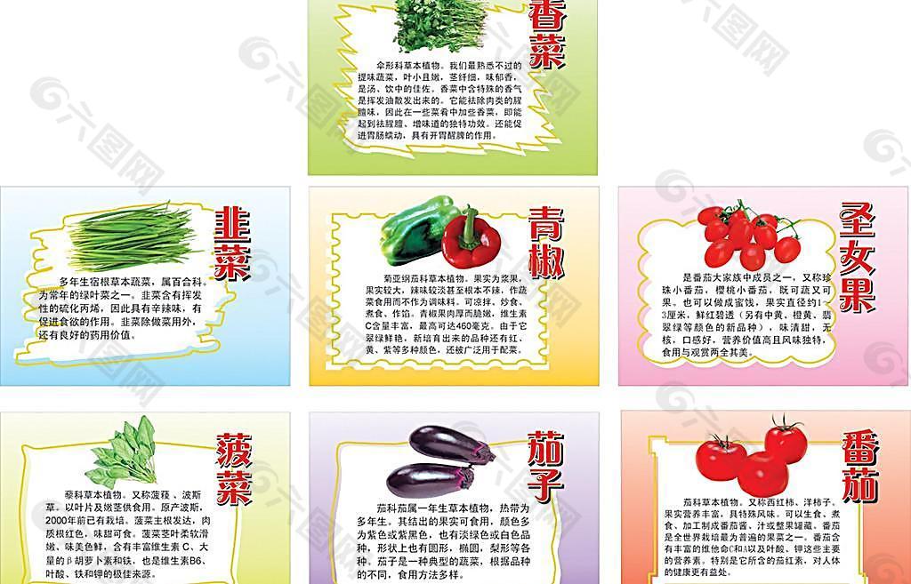 蔬菜名称中文图片