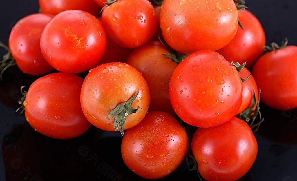 西红柿 蕃茄图片
