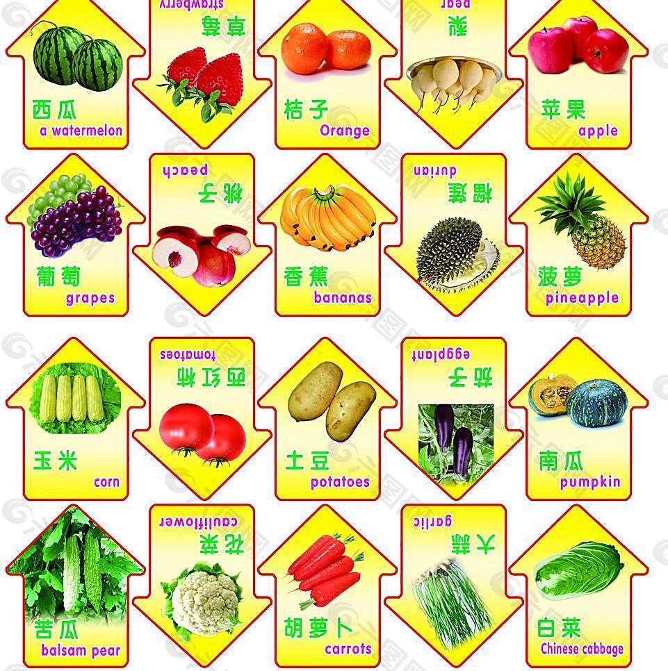 幼儿园水果蔬菜图图片