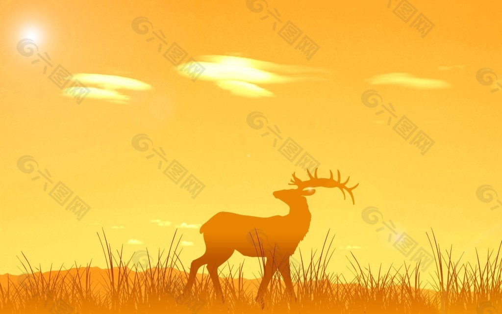 夕阳下的鹿
