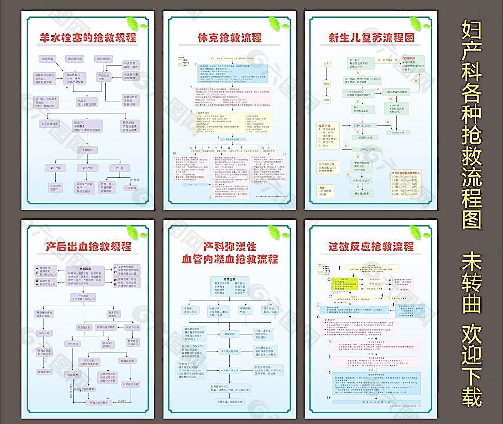 妇产科抢救流程图图片