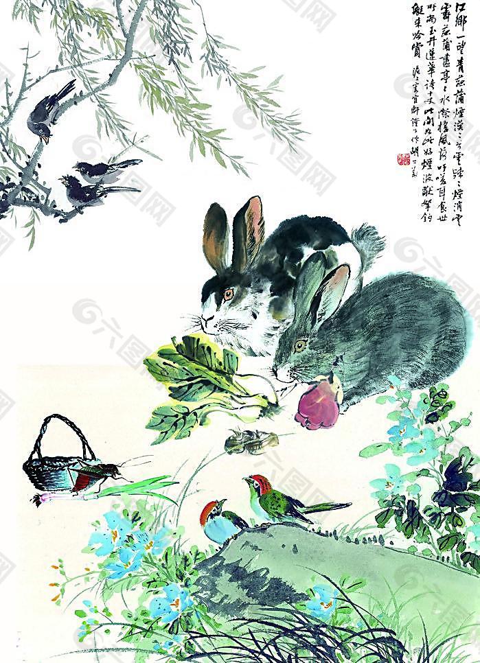 兔子 草丛图片