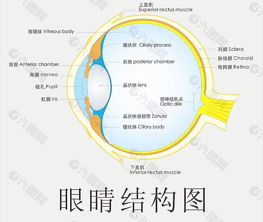 眼球海报图片