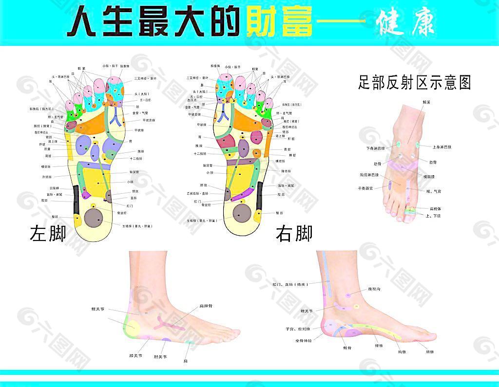 穴位图图片