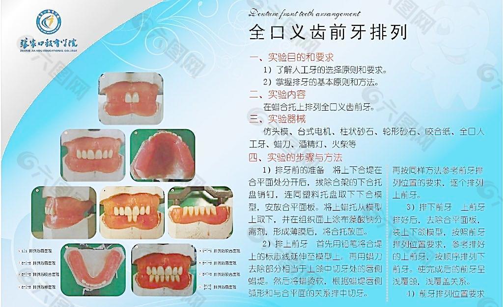 全口义齿前牙排列图片