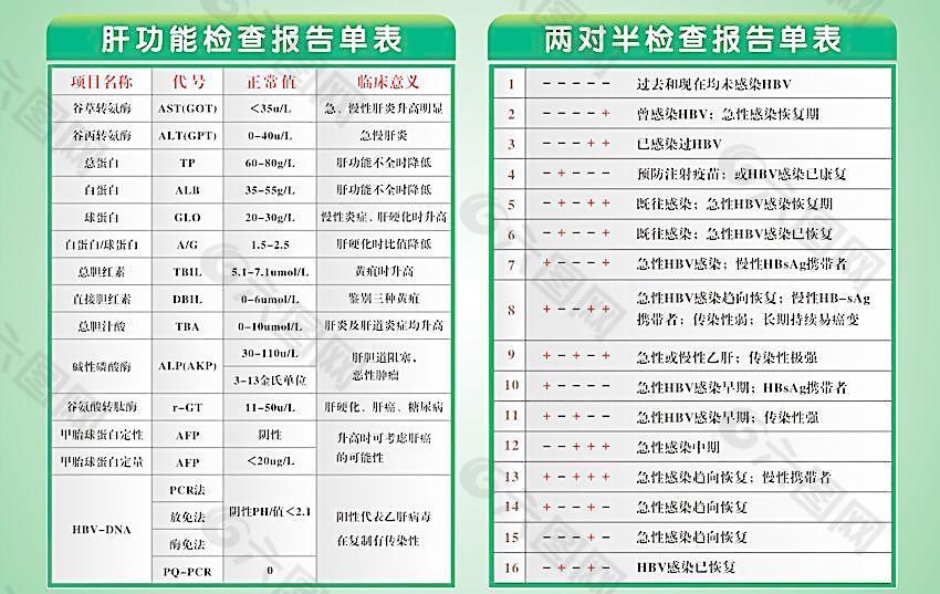 肝功能检查报告单表图片