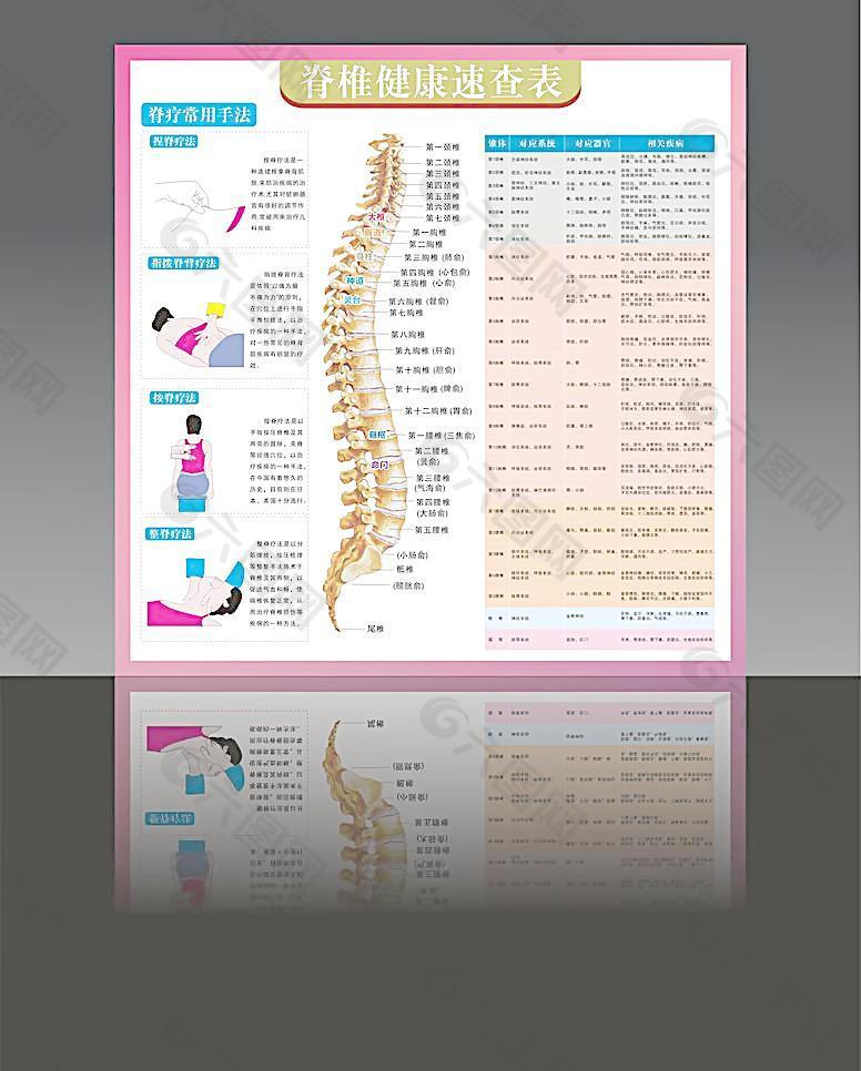 脊椎健康速查表图片