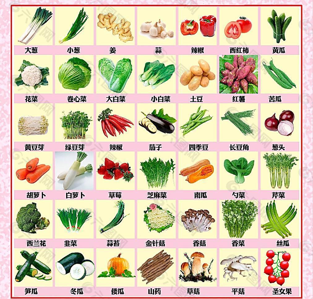 蔬菜名字图样图片