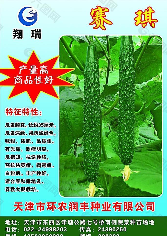 蔬菜宣传画图片