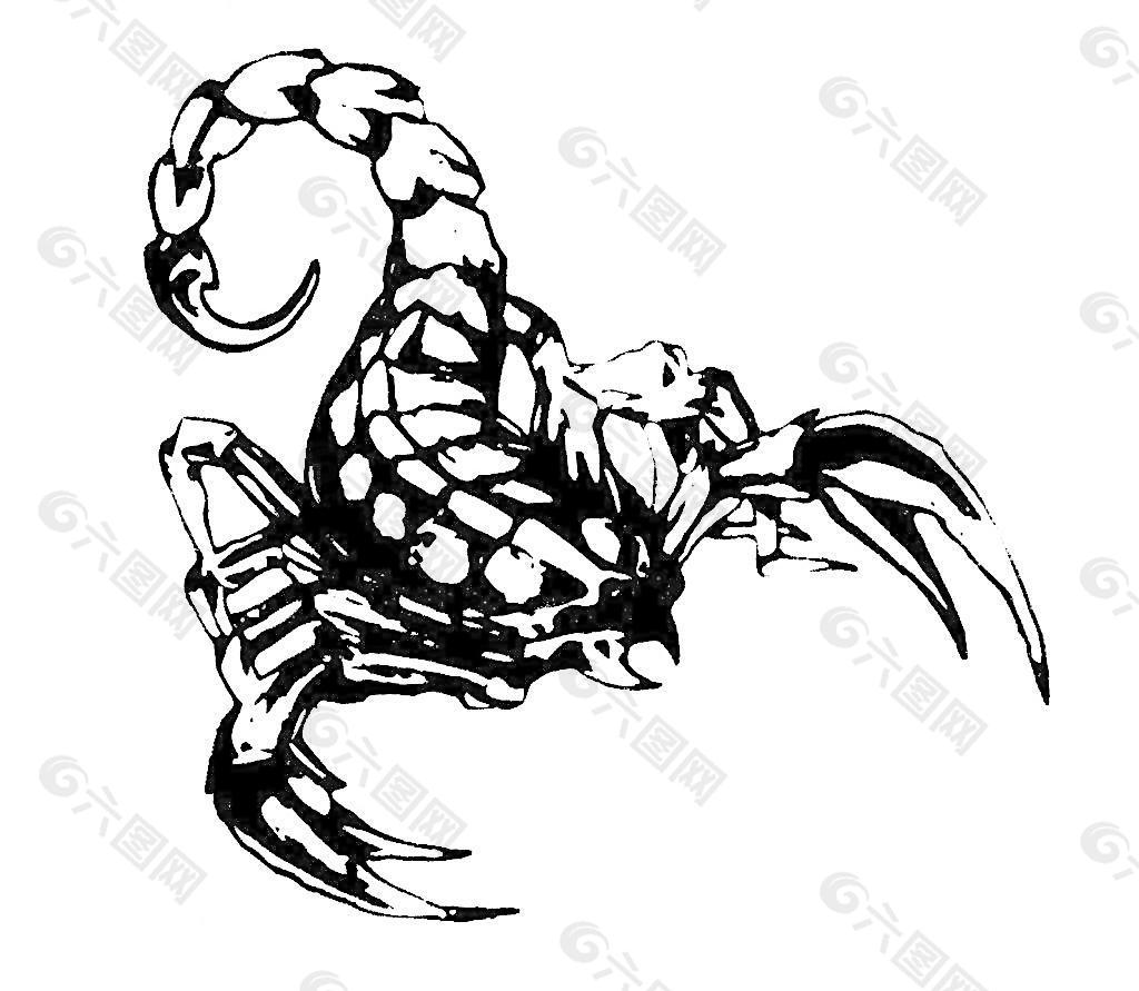 纹身 蝎子矢量图__其他_生物世界_矢量图库_昵图网nipic.com