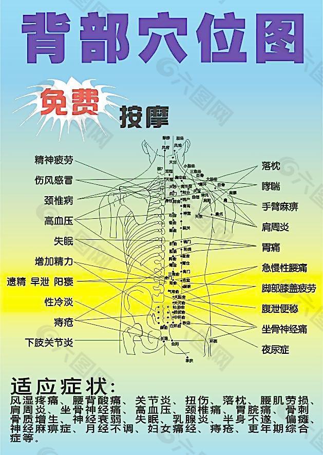 后背经络图及其作用图片