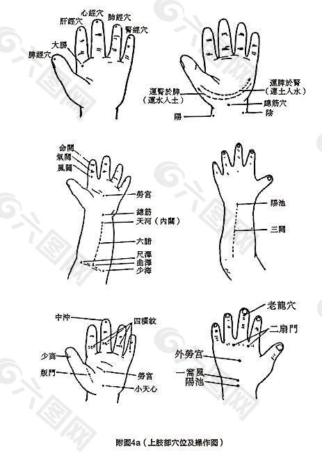 手部穴位图图片