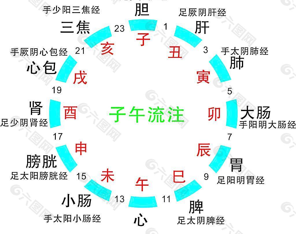 子午流柱与经络图图片