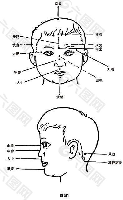 头面部穴位图图片