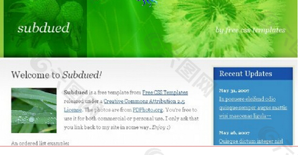 柔和绿色植物网页模板