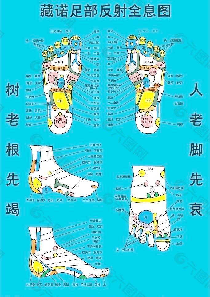 藏诺足部反射全息图图片