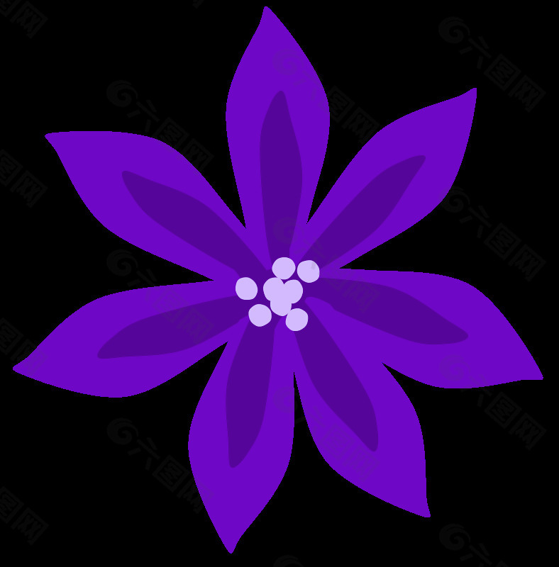 紫百合