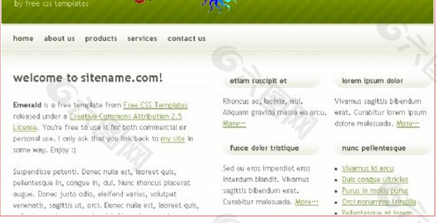 翠绿主题信息网页模板