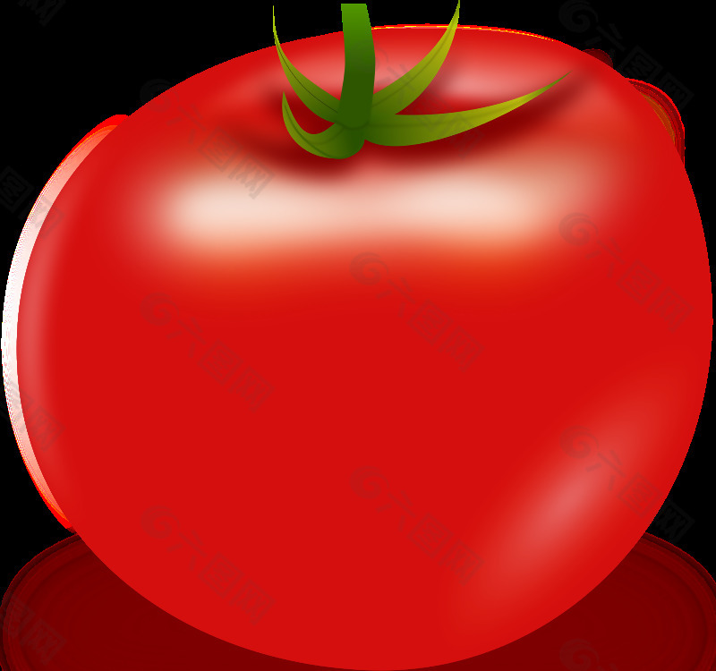 向量番茄