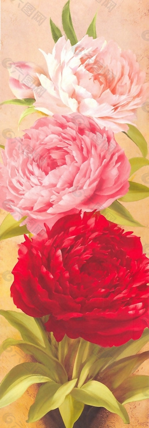 位图 植物 花卉 艺术效果 油画 免费素材