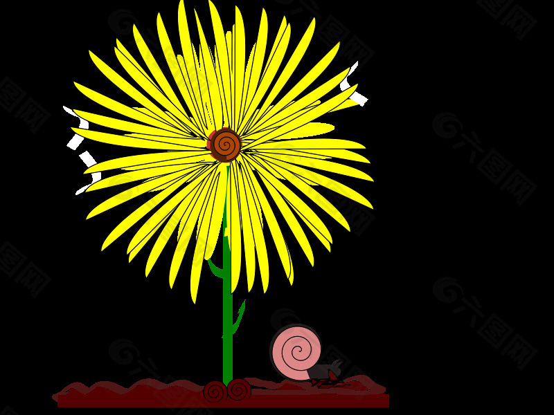 黄色的花和蜗牛
