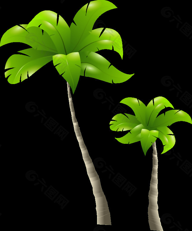 棕榈树palmiers