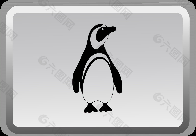 Linux的关键