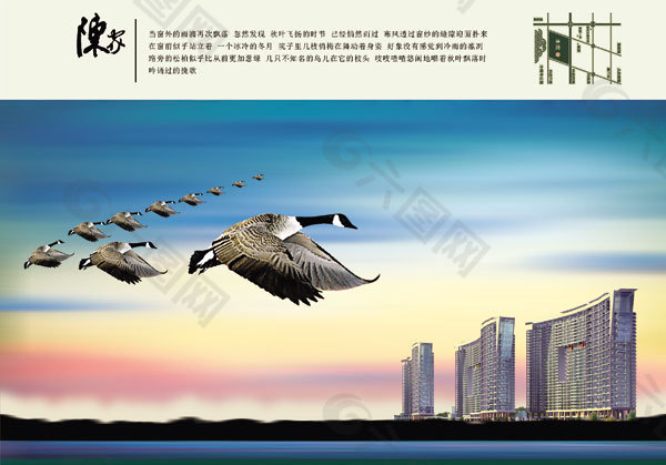 陈家房地产广告