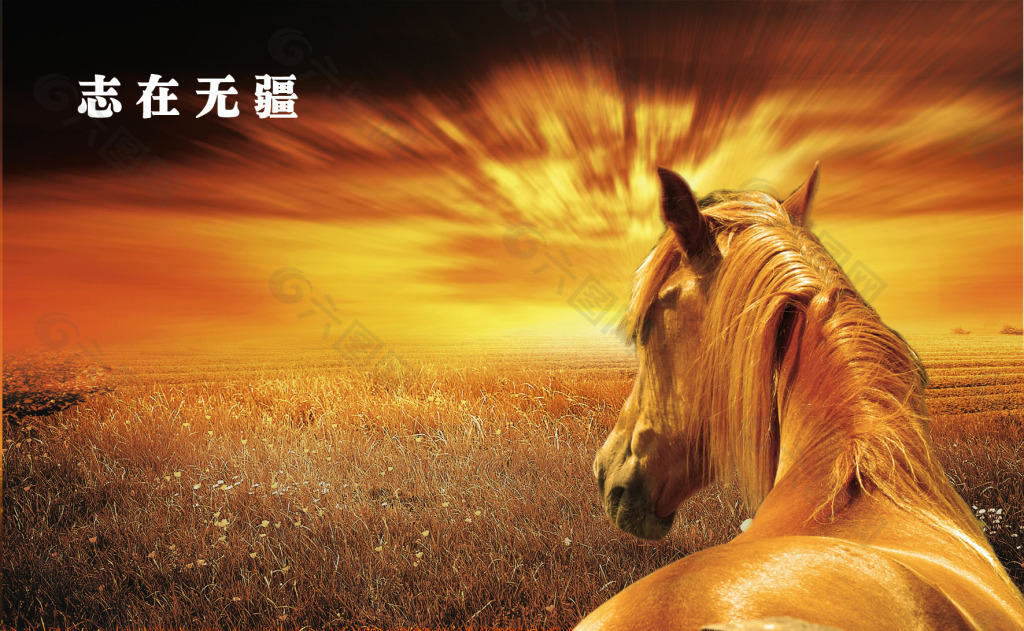 志在无疆