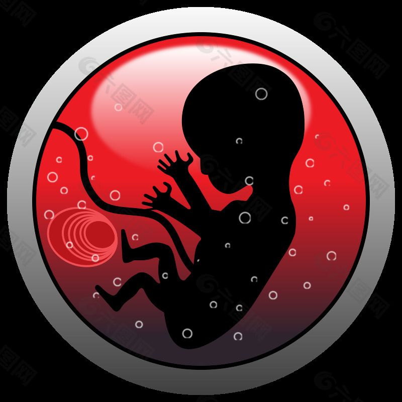 人类胚胎（轮廓）