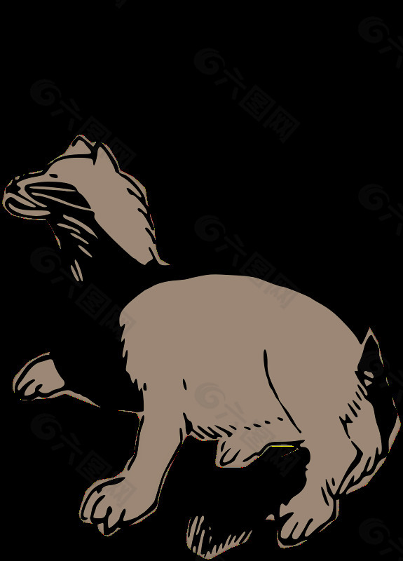 mujina（日本獾）