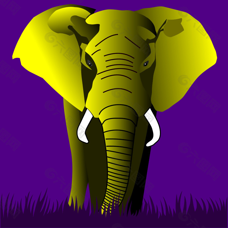 象黄色在紫色