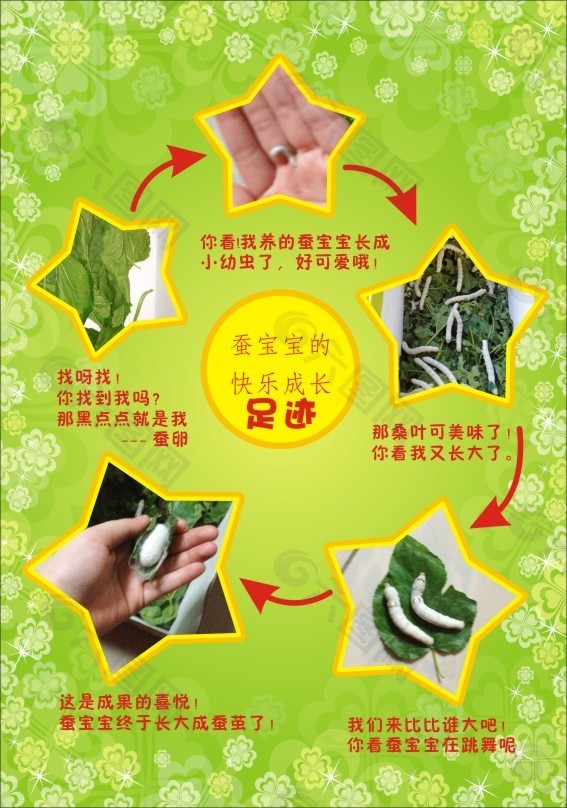 养蚕虫