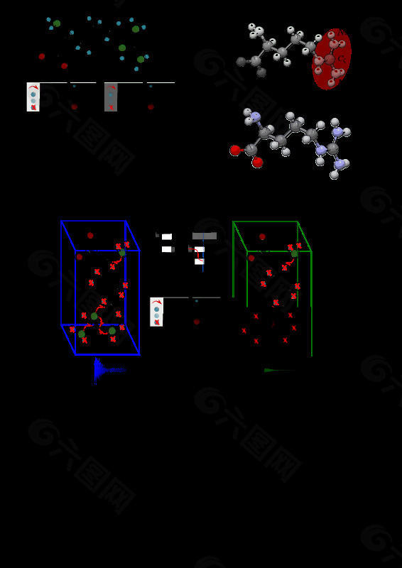 NMR精氨酸方案