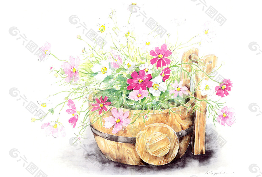 花卉水彩插画