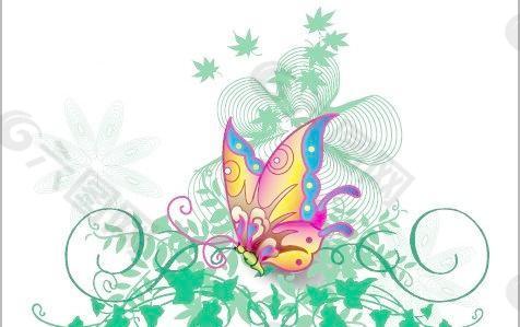 植物的蝴蝶花纹