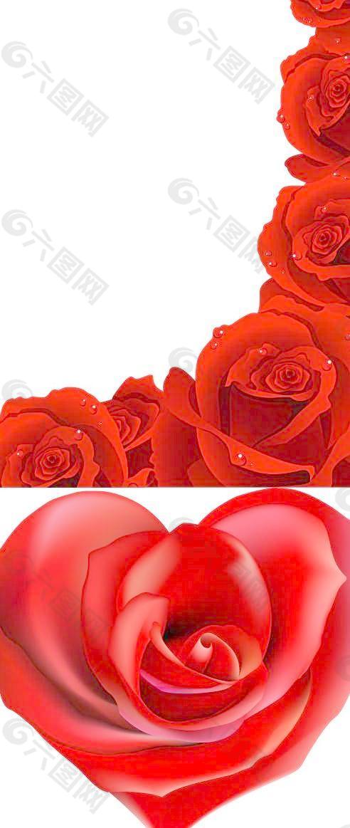 明亮的红色花瓣玫瑰