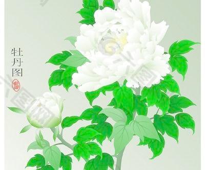 矢量牡丹