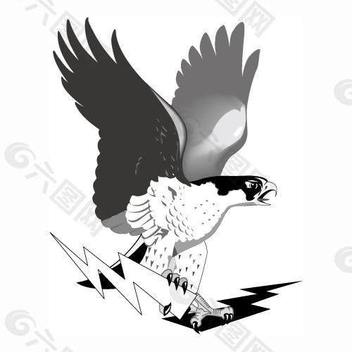 印花矢量图 动物 老鹰 色彩 黑色 免费素材