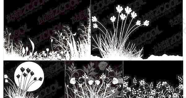 黑色和白色的花和植物的剪影