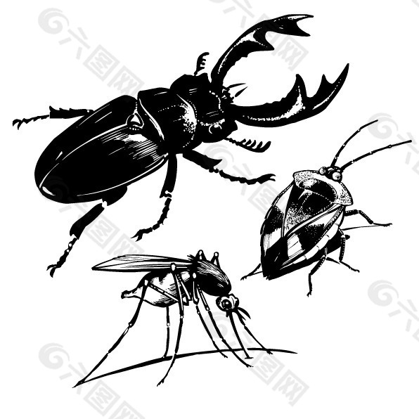 印花矢量图 动物 昆虫 蟑螂 小强 免费素材