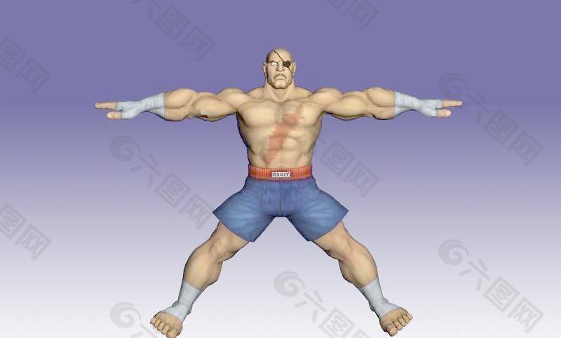 街头霸王四 街霸 Street Fighter IV 沙加特（Sagat）