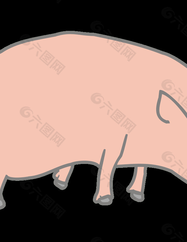 马塞洛caiafa1猪