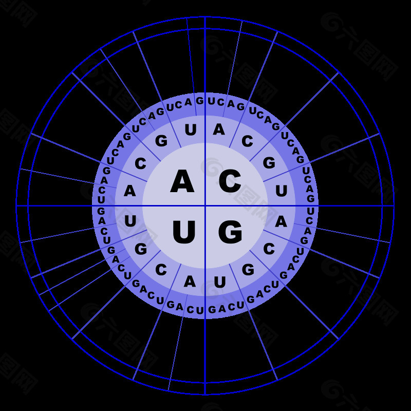 基因编码的RNA