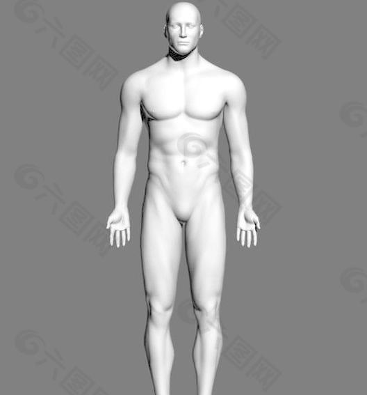 Male body 男人体基本模型