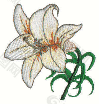 绣花 植物 花卉 毛衫印花 色彩 免费素材