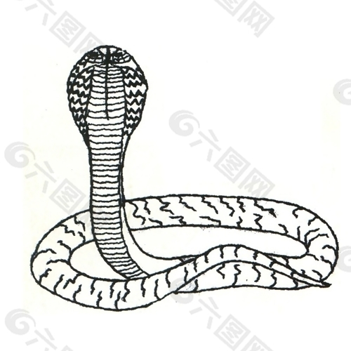 绣花动物蛇蟒蛇色彩免费素材产品工业素材免费下载 图片编号 六图网