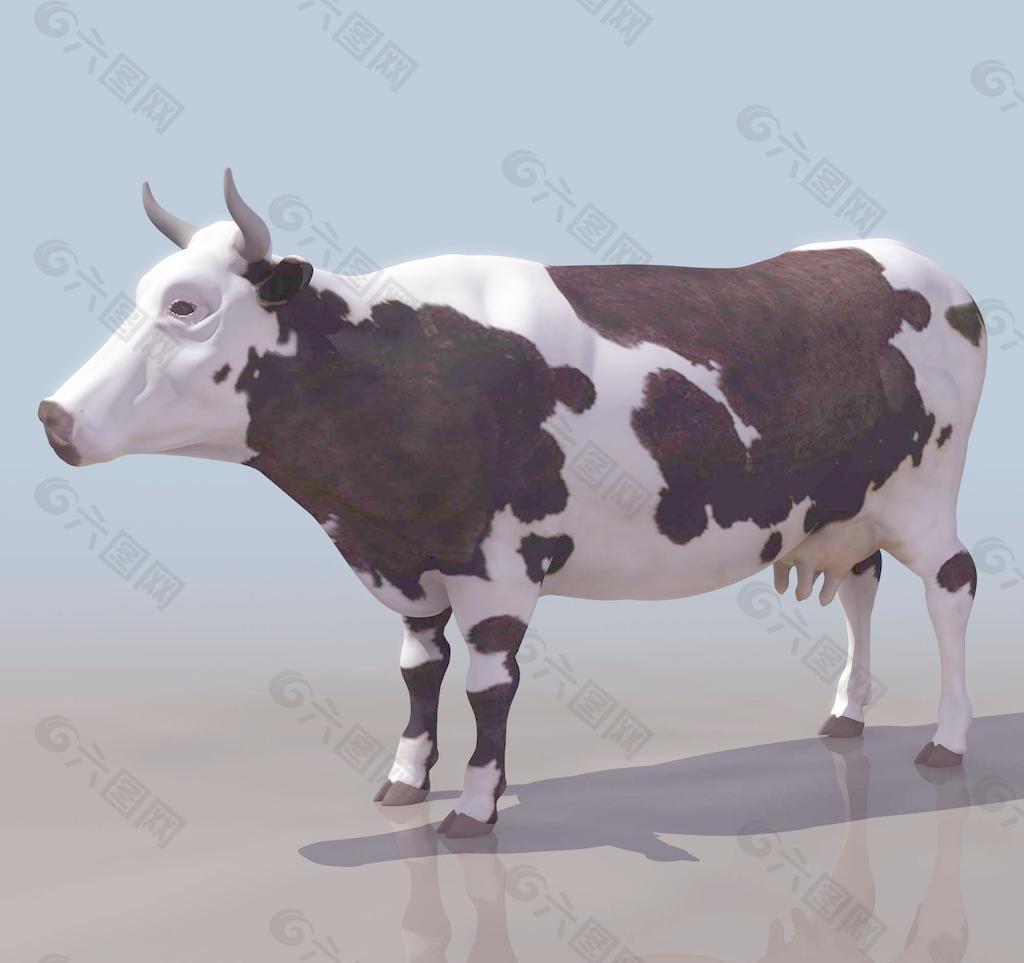 COW 牛模型01