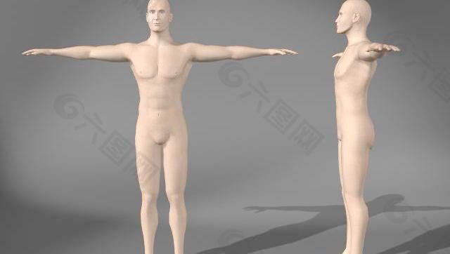 男人体man Nude1设计元素素材免费下载 图片编号 六图网