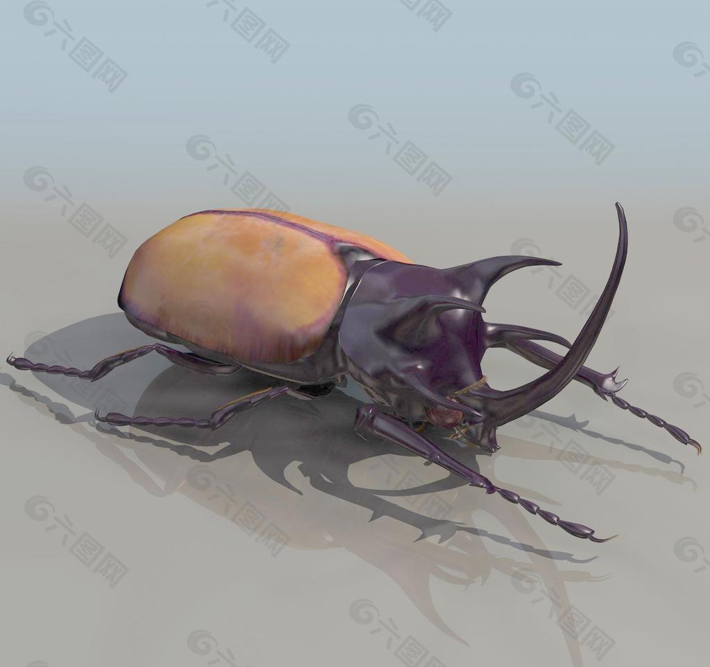 BEATLE 甲壳虫模型01